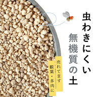 観葉植物＆多肉植物の土（虫が出にくい無機質用土） 観葉植物 土 植え替え 観葉植物の土 多肉植物 無機質…