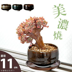 ZĂ̖qŁAAłMTCYiMade in JAPANAؔjAؔ  ϗtA Aւ Jo[ { Y Z  ȐAؔ 3.5 3    uE zCg u