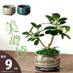 ZĂ̖qŁAAłSTCYiMade in JAPANAؔjAؔ  ϗtA Aւ Jo[ { Y Z  ȐAؔ 2 3   zCg u[   