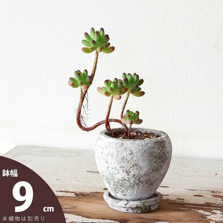 楽天市場】丸みが可愛いアンティーク風セメントPOT・S（9cm）3号 鉢 
