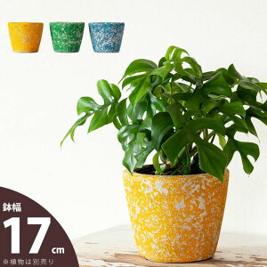 NŃVJVJ悤ȃeRb^i17cm)4 5 Aؔ ϗtA Aւ Jo[  ȐAؔ   A y K[fjO    ~j ~j 