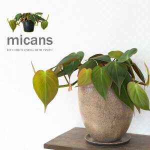 xxbgn[gLEAFI~JXitBfhjtBfh~JX ϗtA xxbg t A CeA A n[g` 鐫A Aւ O[ x_ K