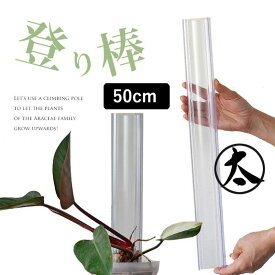 『透明』ねこ型登り棒（高さ50cm：太さ7.5cm）猫の登り棒 ねこの登り棒 花森家 猫のぼり棒 ネコ 登り棒 スリット鉢 5号 鉢 セット 6号 7号 ネガミエル 浅岡園芸 スリット 鉢 おしゃれ植木鉢 植え替え 観葉植物の植え替え クリア 半透明 ねこチップ