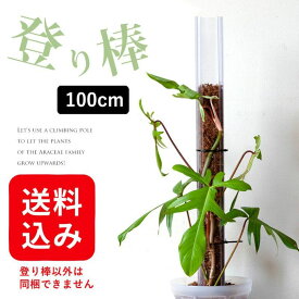 『透明』ねこ型登り棒（高さ100cm：太さ7.5cm）・同梱不可商品です猫の登り棒 ねこの登り棒 花森家 猫のぼり棒 ネコ 登り棒 スリット鉢 ネガミエル 浅岡園芸 植え替え 観葉植物の植え替え 根が見える鉢 ねこチップ ネコチップ 観葉植物