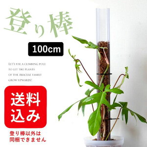 wx˂^o_i100cmF7.5cmjEsiłL̓o_ ˂̓o_ ԐX L̂ڂ_ lR o_ Xbg lK~G 󉪉| Aւ ϗtA̐Aւ 