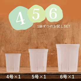 透明スリット4・5・6SET [4号、5号、6号×各1]透明スリット鉢 ネガミエル 浅岡園芸 スリット 鉢 観葉植物の植え替え 根が見える鉢 クリア 半透明 観葉植物の鉢 植木鉢 プラスチック ポトス革命チャンネル 観葉植物 鉢 通気性 根腐れ防止