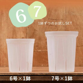 透明スリット6・7SET [6号×1、7号×1]透明スリット鉢 ネガミエル 浅岡園芸 スリット 鉢 6号鉢 7号鉢 観葉植物の植え替え 根が見える鉢 クリア 半透明 観葉植物の鉢 植木鉢 プラスチック ポトス革命チャンネル 観葉植物 鉢 通気性 根腐れ