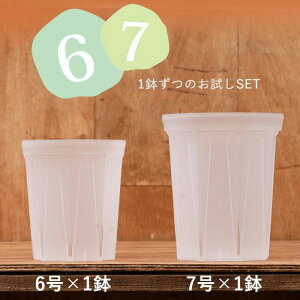 Xbg6E7SET [6×1A7×1]Xbg lK~G 󉪉| Xbg  6 7 ϗtA̐Aւ 锫 NA  ϗtA̔ Aؔ vX`bN |gX
