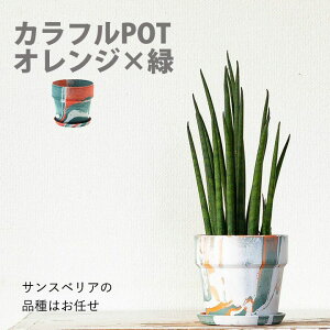 TXxA ~Jh yϗtA z 2̔Iׂ ~j  c tׂ i SҌ A  v ĕt e[u av[g ȒP lC T