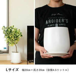 ̐AؔB}bgdグADJ^`BAؔ   3 3.5 4 5 6  ϗt A  ȐAؔ Aւ c CeA F ۂ ܂^ ^}S zC