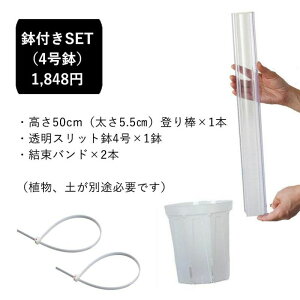 wx˂^o_i50cmF5.5cmjL̓o_ ˂̓o_ ԐX L̂ڂ_ lR o_ Xbg 4 5 lK~G 󉪉| Xbg  Aւ ϗtA̐Aւ N