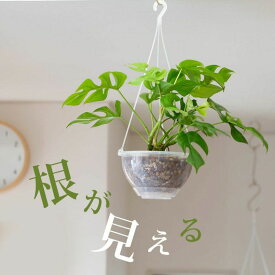 ハンギングプランター ( 透明 吊り鉢 ) 植木鉢 鉢 観葉植物 吊り下げ 植物 吊るす 吊り おしゃれ ハンギング プランター 植え替え 5号 6号 7号 ねこチップ 軽い 軽量 ネガミエル AIR エアー 根が見える プラスチック 天井 ポット 紐付き ハンギングポット 浅岡園芸 花森家