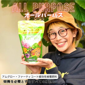 迷ったらコレ！観葉植物向け肥料オールパーパス600g 虫がよりにくい化成肥料 緩効性 元肥 追肥 多肉 ガジュマル ウンベラータ パキラ フィカス ポトス ポインセチア 植木 微量要素 マグネシウム鉄 マンガン 6か月タイプ