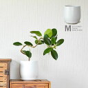 白い陶器の植木鉢。マット仕上げ、優しいカタチ。植木鉢 おしゃれ 陶器 3号 3.5号 4号 5号 6号 鉢 観葉 植物 室内 お…