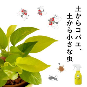 uyɁvRoGABĂ݂āIVRfނ̎E 쏜 Xv[ ϗtA ނ MYPLANTS RoGގ~Xg VRf ̒ H ɂȂ ΂  ZFw|