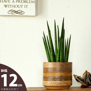 }S[Ebh̔Jo[i12.4cmjؐ ؖ A i` uE ȒP y  ϗt A