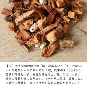 A悭yiʏ ˂`bvjy5bg܁z ϗtA y Aւ lR`bv ϗtA̓y Aؔ r P h~ A  v^[ L`bv ʋC y  ԐX