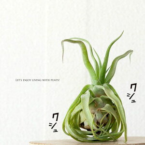 GAvcEXgvgtBGA[vc `WA eBWA ϗtA ݂艺 ݂邷   CeA  v S nMO