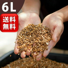 観葉植物の土【虫がわかない無機質配合】店長おすすめ！栽培家・杉山拓巳氏「プレミアム用土」6L・送料無料植木鉢の排水向上に！多肉植物の植え替えにも。人気の硬い土 室内用 清潔 小粒 初心者 ベストソイルミックス 観葉植物 土 鉢