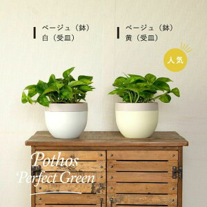 L_Ƃ̊ϗtAAkɐA |gX O[oO[/p[tFNgO[/KW}/tBJX \tBA ϗtA  Vzj zj a A 󉪉|