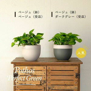 L_Ƃ̊ϗtAAkɐA |gX O[oO[/p[tFNgO[/KW}/tBJX \tBA ϗtA  Vzj zj a A 󉪉|