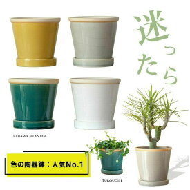 4色選べる 植木鉢 陶器鉢 おしゃれ 観葉植物 鉢 陶器 植え替え 小さめ ターコイズ グレー 白 青 黄色 灰色 3号 4号 5号 セラミック 鉢カバー 室内 鉢植え 土 屋内 カラフル