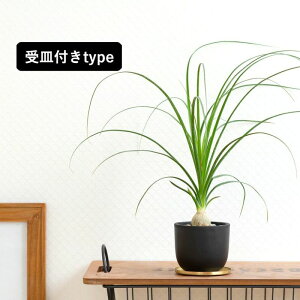 ōĂmiigbNjϗtA  CeA  CeAO[ K[fjO ItBX rO   lC Aւ A c