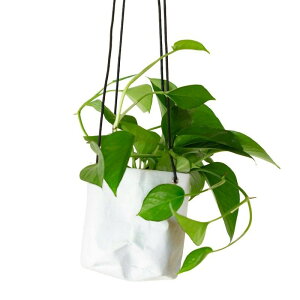 ݂邵ĊyށA|gXEp[tFNgO[iNtgPAPER݂̒蔫tj݂艺 A ݂邷 nMO ϗtA  CeA  Mtg v[g a CeA