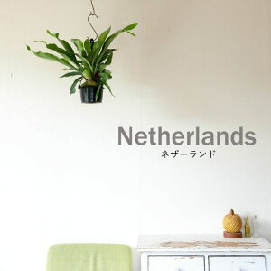 ǂǂI͋rWA̎pV_iREj݂蔫 ݂艺 AVRl lU[h B[`[  rJNV_ т nMO ϗtA   C