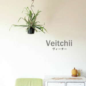 ǂǂI͋rWA̎pV_iREj݂蔫 ݂艺 AVRl lU[h B[`[  rJNV_ т nMO ϗtA   C