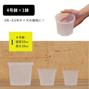 XbguX^_[hvtypeilK~G X^_[hjXbg lK~G 󉪉| Xbg  ϗtA̐Aւ 锫 NA  ϗtA̔ Aؔ v