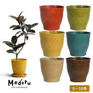 おしゃれ 植木鉢 「くすんだ色」が可愛い！もみ殻が主原料、エコ素材の鉢（プラスチックに代わるeco鉢） …