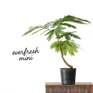 u`rvAGo[tbVc lmL ϗt A   CeA  Mtg v[g a CeAO[ K[fjO ItBX rO  