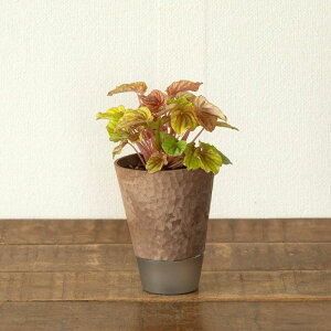 ͂12/18`[TableO[]@yy~AELg ϗtA  CeA  Jo[ CeA rO _CjO ItBX fXN