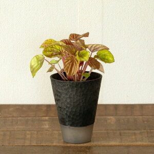 ͂12/18`[TableO[]@yy~AELg ϗtA  CeA  Jo[ CeA rO _CjO ItBX fXN