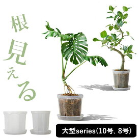 透明 スリット鉢 「大型サイズ」series（ 8号鉢 10号鉢 ） 植木鉢 大型 ロング 8号 10号 ネガミエル 浅岡園芸 透明 鉢 植え替え 観葉植物 根が見える鉢 クリア 半透明 プラスチック 受皿 室内根腐れ防止 ねこチップおしゃれ