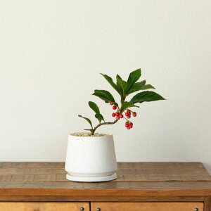 uREWi\j悤ɐLтp炵OA c A  Ԃ