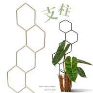 あると楽しい！立てるだけで映える！アイアン支柱ガーデン雑貨 園芸支柱 室内 おしゃれくい 杭 誘引 観葉…