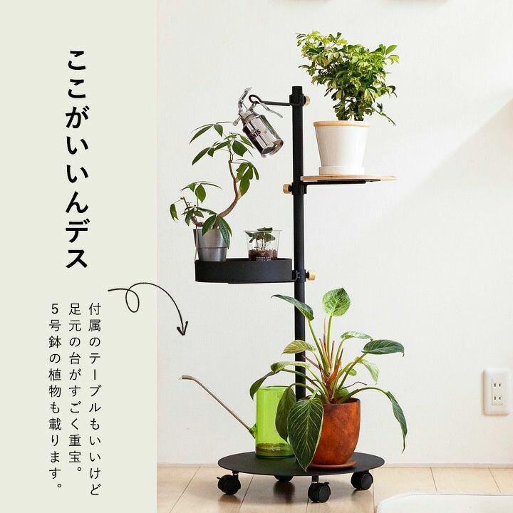 楽天市場 花台に凄くいい 動く Draw A Line おすすめ4点set 同梱不可商品です ｅ 花屋さん