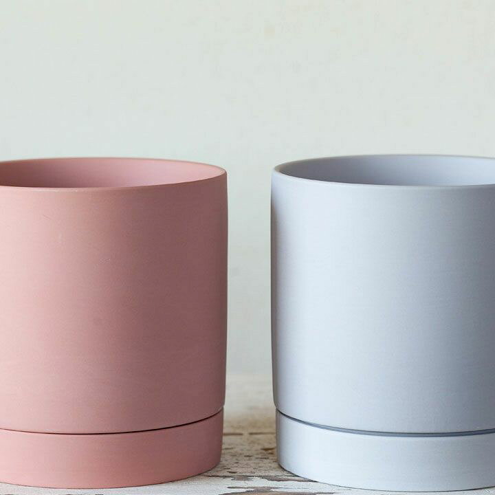 楽天市場】【おしゃれな植木鉢】受皿一体型シリンダー陶器鉢M（16cm 