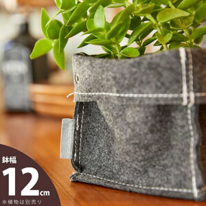 obOElvf[XJo[12cm×15cmysDz̐Aؔz