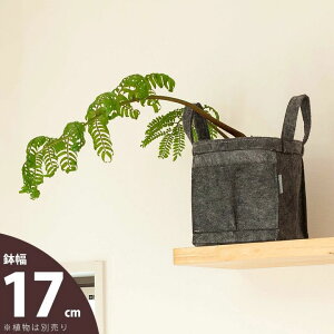 obOElvf[XJo[17cm×19cmysDz̐Aؔz