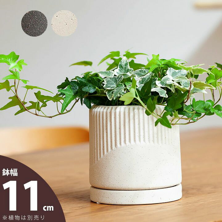 楽天市場 シンプルだけど 珍しいカタチ ざらざら陶器鉢 11 5ｃｍ ｅ 花屋さん