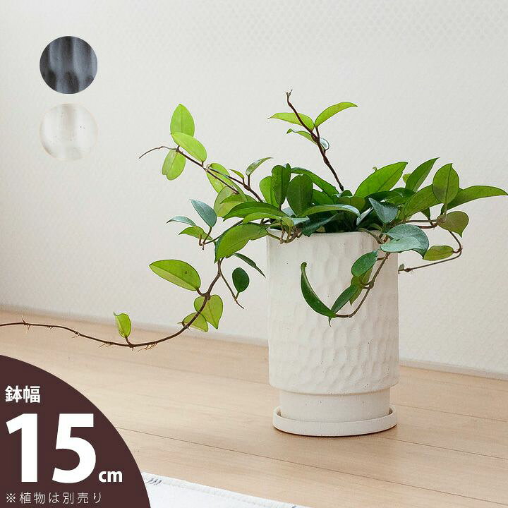 楽天市場 おしゃれな植木鉢 個性的 けれど主張はしすぎない縦長陶器鉢m 15ｃｍ 背が高いtype ｅ 花屋さん
