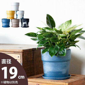 軽い、可愛い、植木鉢。M（19cm)プラスチック 観葉植物 土 鉢カバー 5号 5号鉢 植え替え 鉢カバー おしゃれ 室内 鉢 観葉植物の鉢 鉢植え ホワイト イエロー ネイビー グレー オレンジ 黄緑 きみどり ブラウン 白 黄色 紺 灰色 茶 ガーデニング 屋内 排水穴 排水