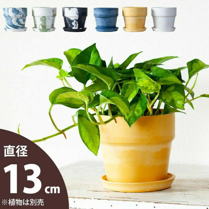 楽天市場 おしゃれな植木鉢 軽い 可愛い 植木鉢 S 13cm ｅ 花屋さん