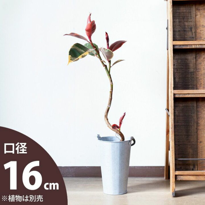 楽天市場 ブリキのロングバケツ 16ｃｍ ｅ 花屋さん
