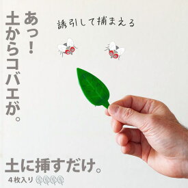 楽天市場 コバエ 殺虫剤 園芸薬剤 植物活性剤 ガーデニング 農業 花 ガーデン Diyの通販