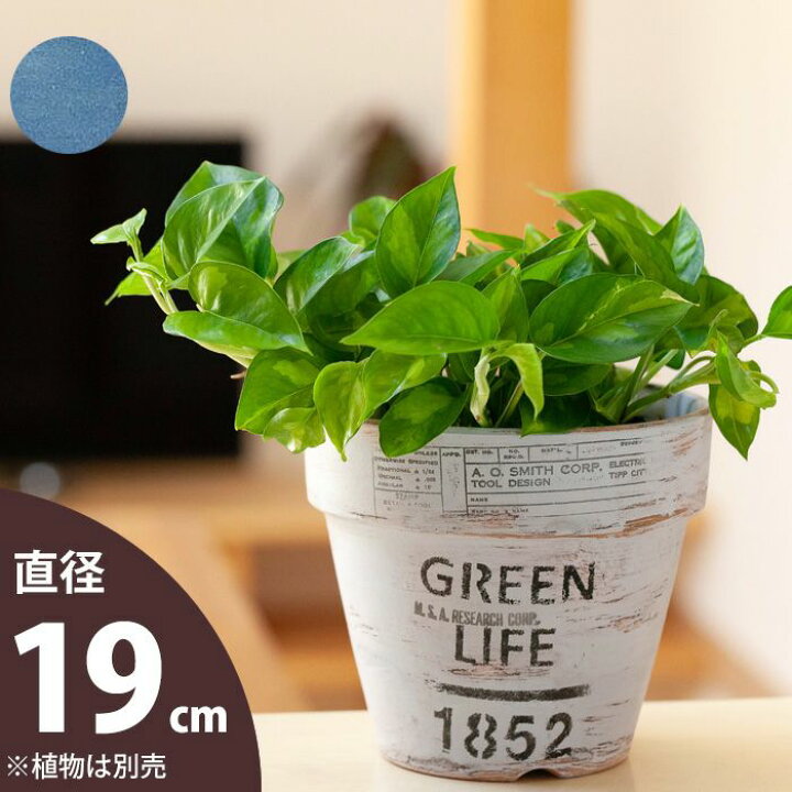 楽天市場 おしゃれな植木鉢 Junkな擦れ感 ペイント素焼き鉢 19cm e 花屋さん 楽天市場 おしゃれな植木鉢 Junkな擦れ感 ペイント素焼き鉢 19cm e 花屋さん