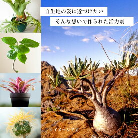 楽天市場 ビカクシダ 肥料の通販